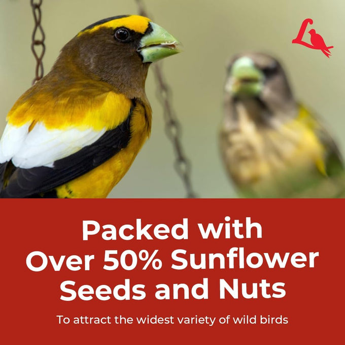lyric-supreme-4-5-lb-wild-bird-food-mix-with-nuts-sunflower-seeds-for-outside-feeders