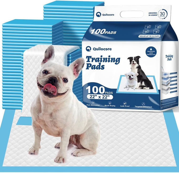 Quilocare 50-Count XL Disposable Dog Pee Pads, 28" x 34", Super Absorbent Leakproof Quick Drying Puppy Training Pads