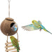 Hypeety coconut shell bird breeding nest toy with ladder and swing for parrot, parakeet, finch, hamster and lovebird