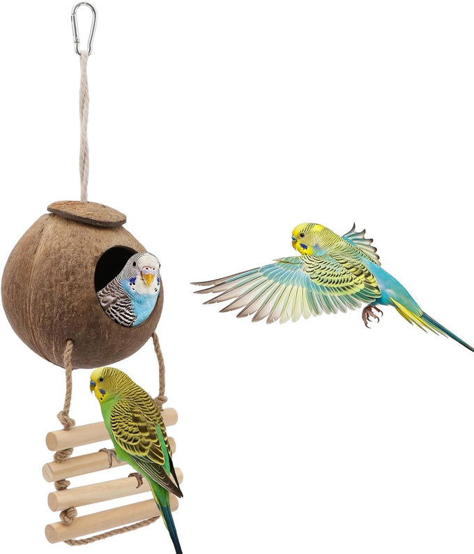 Hypeety coconut shell bird breeding nest toy with ladder and swing for parrot, parakeet, finch, hamster and lovebird