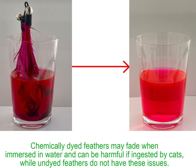 No Chemical Dyeing Cat Feather Toys - Includes Cat Wand and Natural Feather Refills for Indoor Cats - Safe and Eco-Friendly