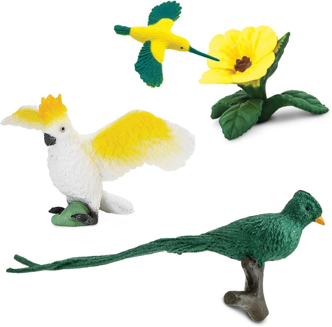 safari ltd exotic birds toob 10 figurines parakeet quetzal macaw hummingbird educational toy for kids