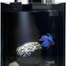 Small nano glass fish tank start kit with filter, LED light for shrimp, small fish, betta (1.5 gallon)