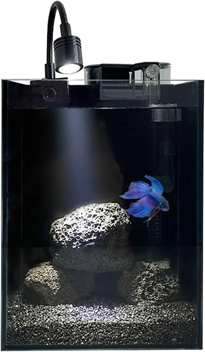 Small nano glass fish tank start kit with filter, LED light for shrimp, small fish, betta (1.5 gallon)