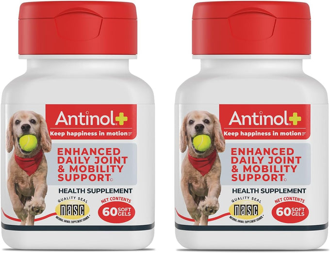 Antinol Plus Dog Joint Supplement with Green-Lipped Mussels and Krill Oil for Mobility and Health