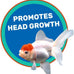 Hikari lionhead sinking pellets 12.3 ounces for fancy goldfish and lion head fish