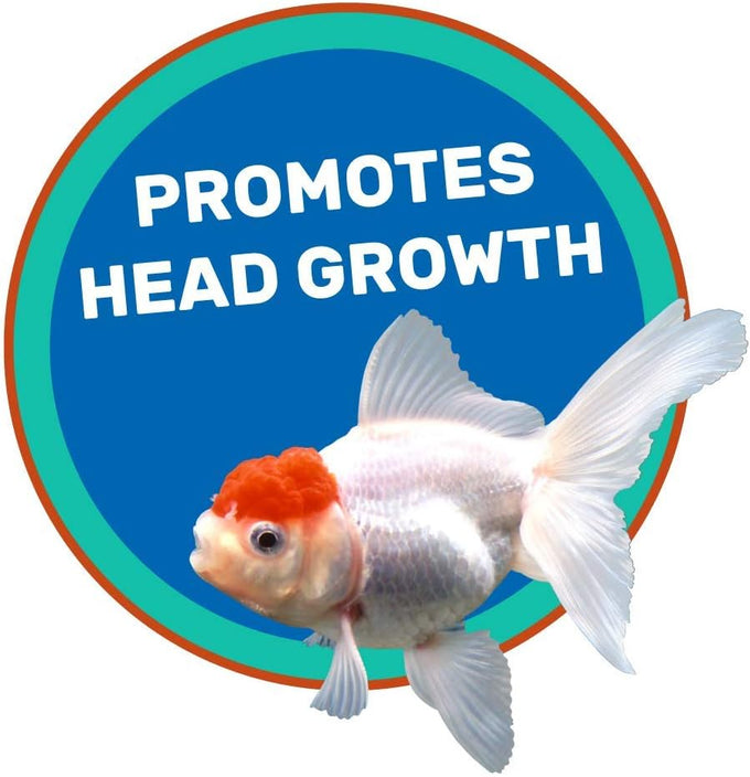 Hikari lionhead sinking pellets 12.3 ounces for fancy goldfish and lion head fish