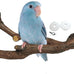 kathson natural parrot bird stand pole wild grape stick paw grinding fork parakeet climbing standing branches toy chewable cage accessories for small budgies cockatiels lovebirds set