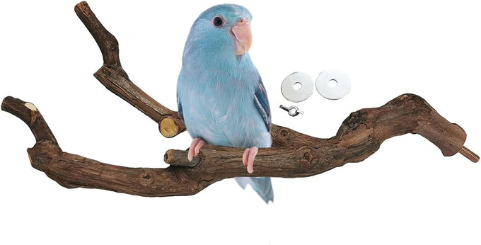 kathson natural parrot bird stand pole wild grape stick paw grinding fork parakeet climbing standing branches toy chewable cage accessories for small budgies cockatiels lovebirds set
