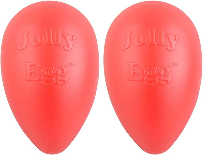 Jolly Pets large purple dog toy, 12 inches, USA made, floats, durable