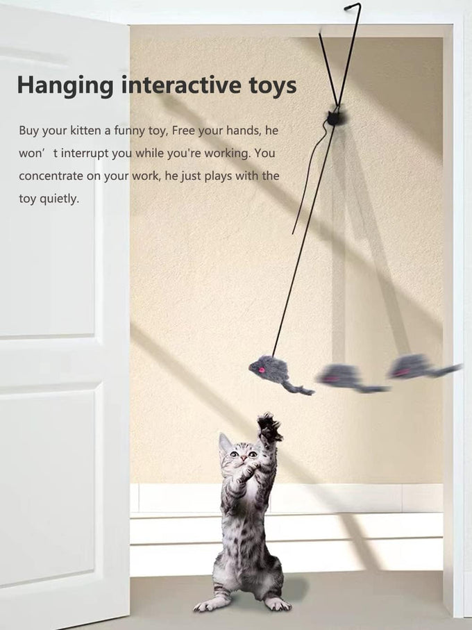 Kalimdor Retractable Interactive Cat Toys, Teaser Toy for Indoor Cats Kitten Play Chase Exercise (2 Pack)