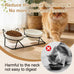  Raised Ceramic Cat Bowl Set with 15° Tilt, Double Ceramic Bowls, Easy Clean for Indoor Cats