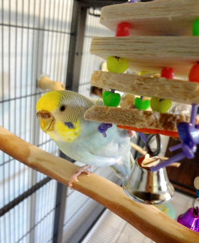 Super Bird Creations SB680 Balsa Stack Bird Toy for Small Parrots, 6.5" x 2" size, Balsa and Plastic Beads
