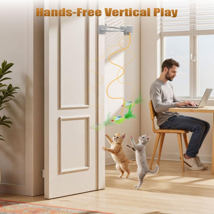 Interactive Cat Toy for Indoor Cats: Automatic Flying Bird Feather Wand USB Rechargeable Durable Safe Hanging Toy for Bored Kittens