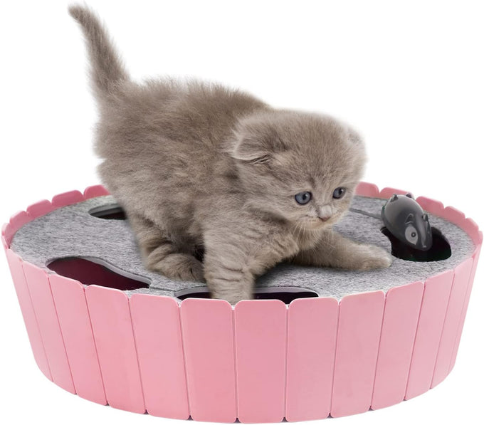 Pawaboo interactive cat toy with running mouse, electronic motion, automatic teaser for indoor cats, green