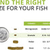 Fluval Bug Bites Bottom Feeder Fish Food, 1.60 Oz. Granules for Small to Medium Sized Fish, A6586