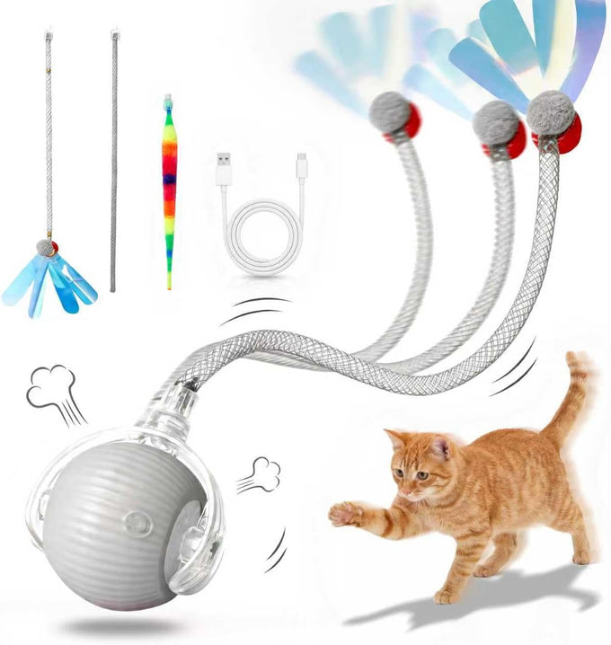 Rechargeable smart rolling cat ball with 3 modes, LED light and 3 replaceable accessories for kittens and adult cats