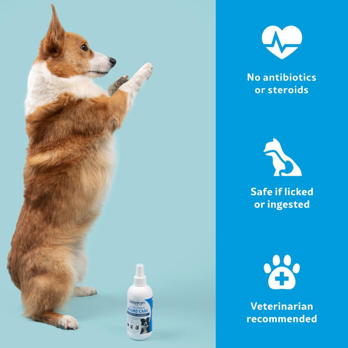 Vetericyn Plus 3-ounce Dog Wound Care Spray, Healing Aid and Skin Repair for Animals, pH-balanced and Non-toxic