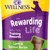 Wellness Rewarding Life Soft Dog Training Treats, Grain Free, Natural, Beef and Turkey Recipe, 6 oz Bag for Dogs