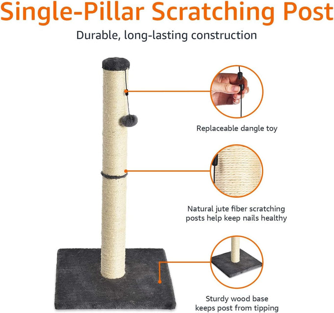 Amazon basics grey cat scratching post for indoor cats and kittens with dangling ball toy medium height