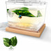 MoonOrange 0.2 Gallon Mini Betta Fish Tank Kit with LED Light Base, Stackable Cube Tank for Small Fish and Pets