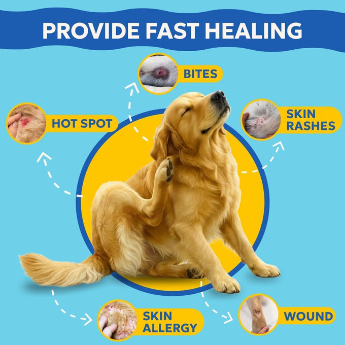 Forticept Blue Butter, hot spot treatment for dogs and cats, veterinary strength anti-itch cream 4oz