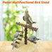 Natural Wood Bird Perch Stand for Small to Medium Size Parrots, Portable Training Perch