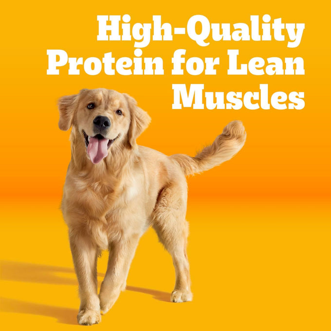 Pedigree High Protein Adult Dry Dog Food, Beef & Lamb, 18 lb