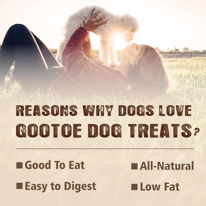 Gootoe chicken breast dog training treats high-protein gluten-free hypoallergenic grain-free 1 lb