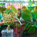 Bird Toys for Conures Parakeet birds cage accessories bird shredding foraging toys with natural rattan and apple wood