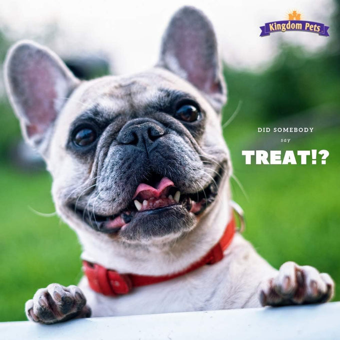 Duck jerky dog treats with only 3 natural ingredients, no fillers, 2.5 pound bag, grain-free and low-fat