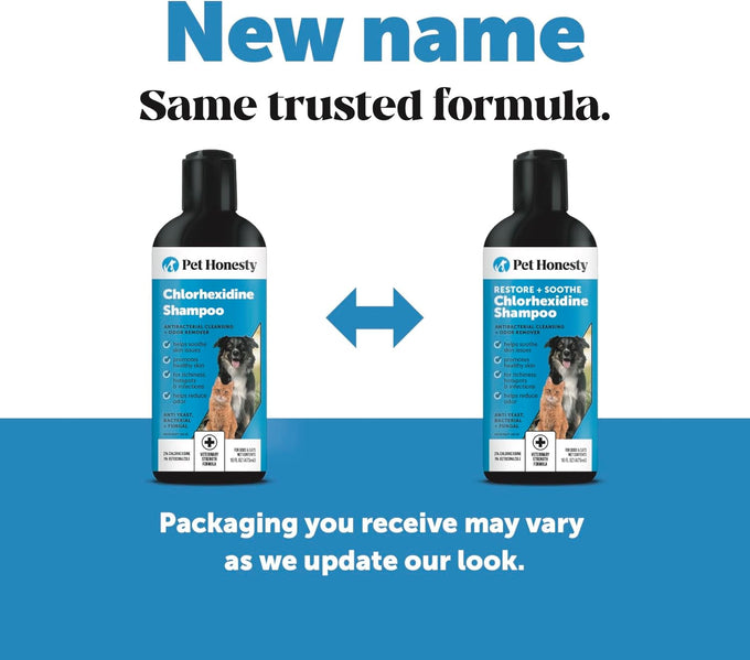 pet honesty chlorhexidine cat & dog shampoos with chlorhexidine for seasonal itch relief allergies & skin problems 16oz