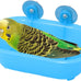 Wontee Bird Bath Mirror Toy for Small Breeds Parrot Canary Budgies Parakeets