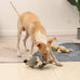Sedioso Donkey Squeaky Dog Toy, Grey, Lightweight, Natural Cotton, Waterproof, for Small to Large Dogs