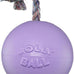 Jolly Pets 8-Inch Large Orange Romp-n-Roll Dog Toy for Large Dogs Made in the USA
