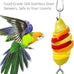 304 stainless steel bird cage food holder for parrot fruit vegetable skewer 3-pack