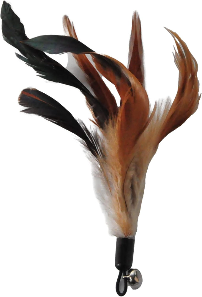 No Chemical Dyeing Cat Feather Toys - Includes Cat Wand and Natural Feather Refills for Indoor Cats - Safe and Eco-Friendly
