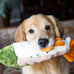 Fluff & Tuff Ruby Rainbow Trout Large Ultra-Plush Dog Toy, 14 Inches Long, Durable Tuffweb Mesh Liner