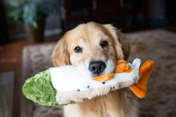 Fluff & Tuff Ruby Rainbow Trout Large Ultra-Plush Dog Toy, 14 Inches Long, Durable Tuffweb Mesh Liner
