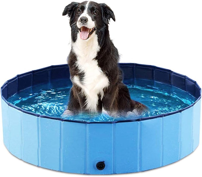jasonwell 32 inch collapsible dog pet pool blue