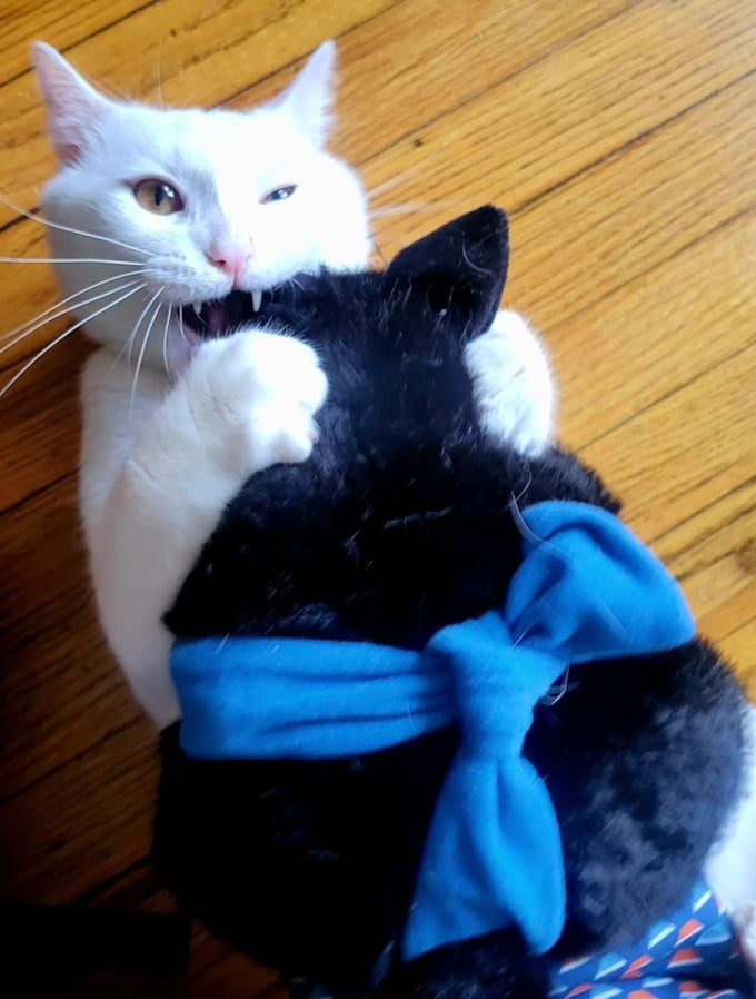 Cat Sumo Wrestler Puppet, Interactive Hand Mitt with Durable Protective Sleeve and Catnip for Safe Play