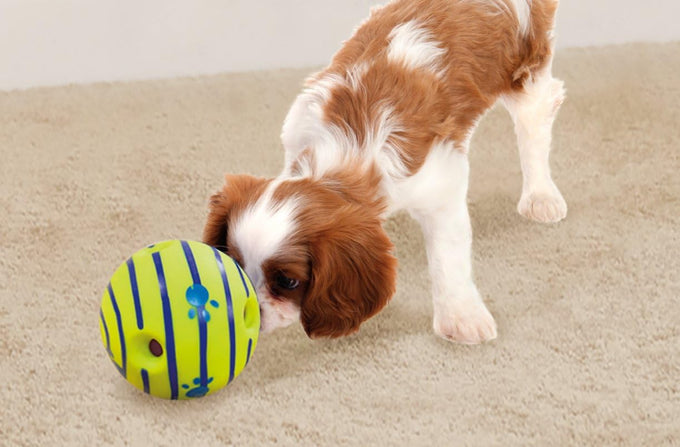 Pets Know Best Wobble Wag Giggle Ball 5.5" Interactive Dog Toy with Giggle Sounds
