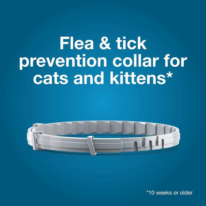 Seresto cat vet-recommended flea tick treatment prevention collar 8 months protection for cats