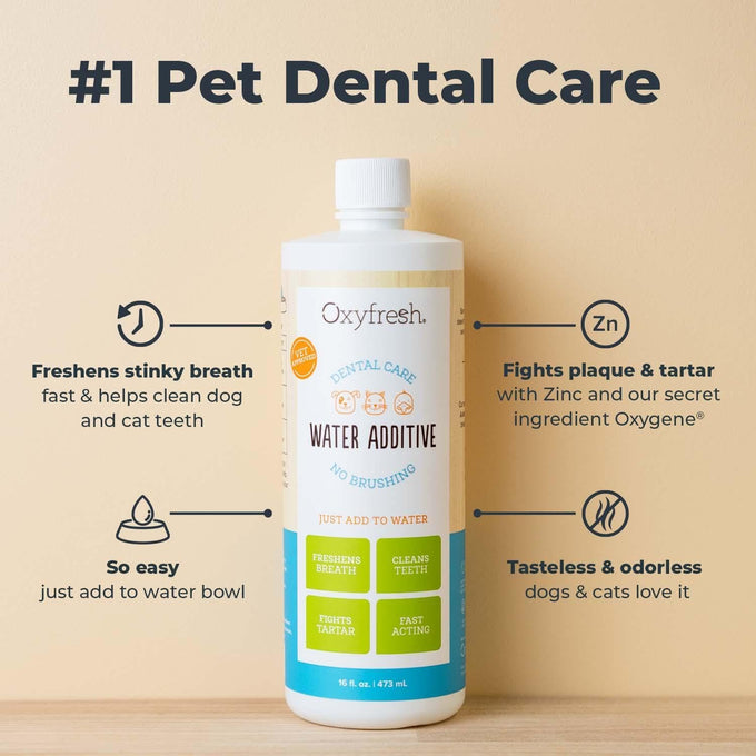 oxyfresh premium pet dental care solution 16 oz water additive for dogs and cats vet recommended