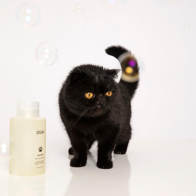 ouai fur bébé gentle cat and dog shampoo, 16 fl oz, vegan, cruelty-free, mercer street scent