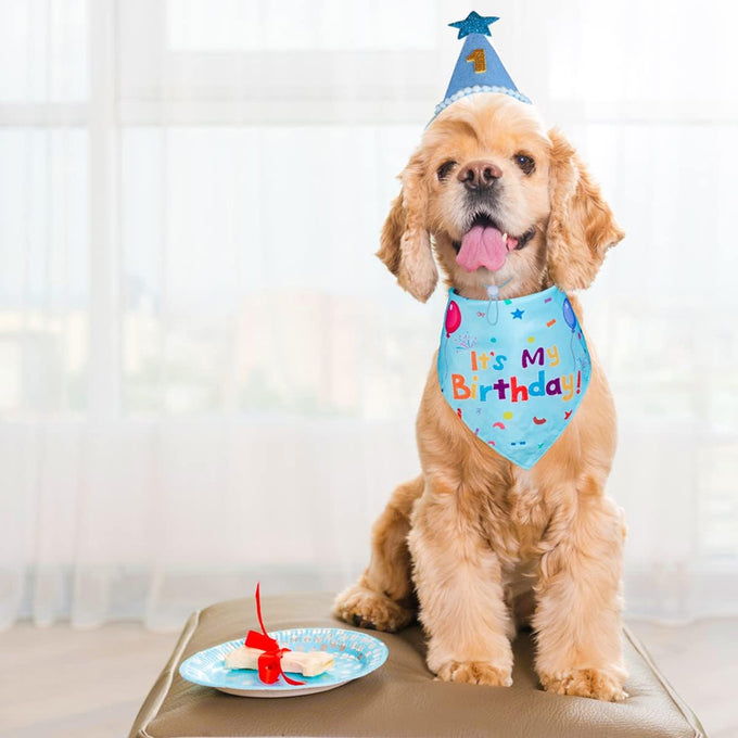 Dog Birthday Bandana Set for Large Medium Small Dogs Pet - Blue, Adjustable Hat with Numbers 0-8