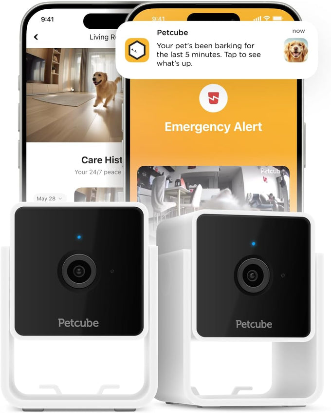 Petcube Cam | 1080p Wi-Fi Pet and Security Camera with 2-Way Audio, Night Vision, and Smart Alerts