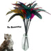 cat wand feather toys set, 6 pieces interactive cat toys for indoor cats, 17.7 in feather stick