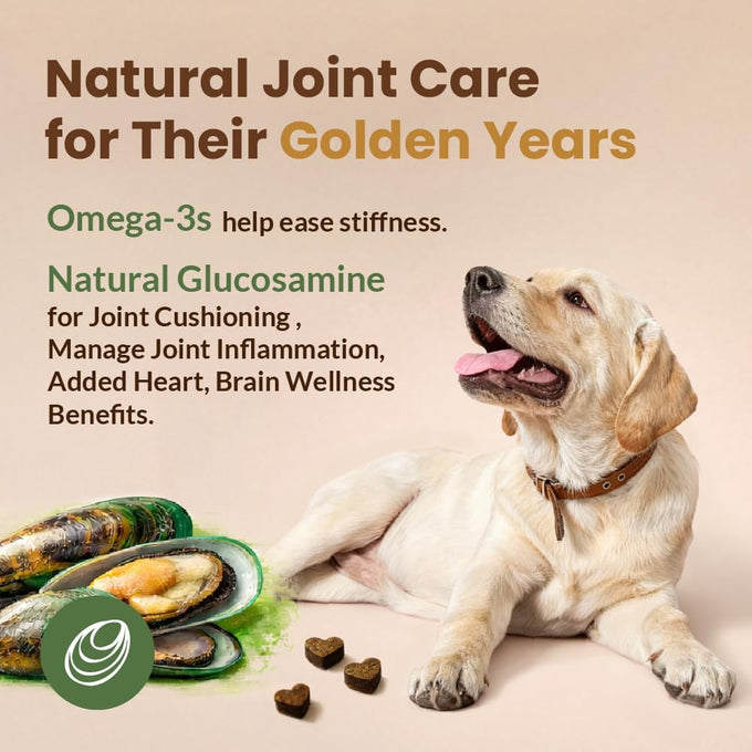 Get Naked Senior Health Soft Dog Treats with Real Chicken for Toothless Dogs