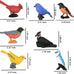 Morofme 7pcs Miniature Birds Figurine Cake Toppers for Birthday Party Decorations